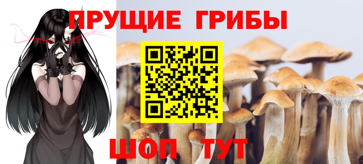 Галлюциногенные грибы GOLDEN TEACHER Красногорск